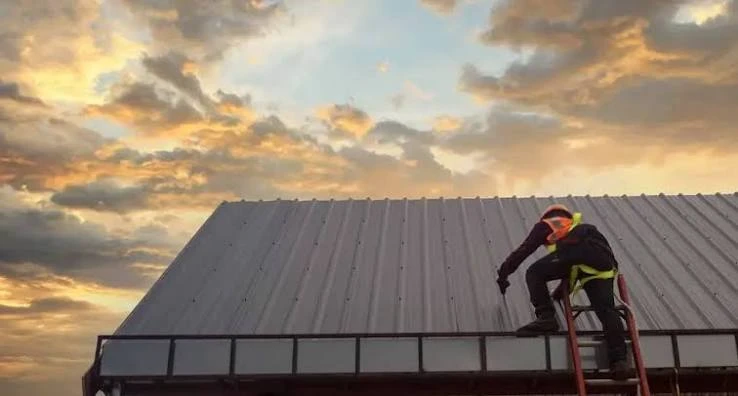 The Value of Professional Roofing Services