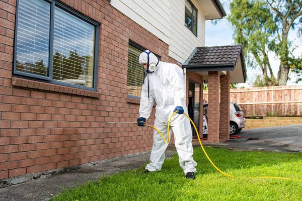 Keep Ant Problems From Taking Over Your Home