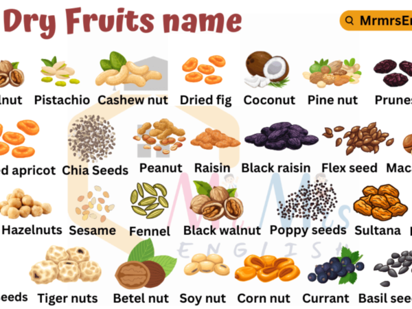 Dry Fruits Name in English: A Complete Guide to Common Dry Fruits and Their Benefits