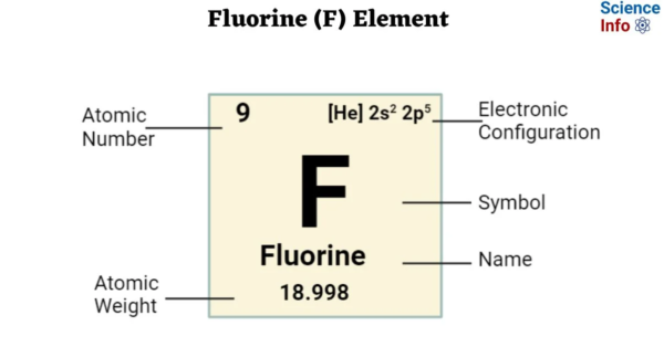 Correct Symbol for Fluorine: Understanding F, Its Meaning, and Why It Matters