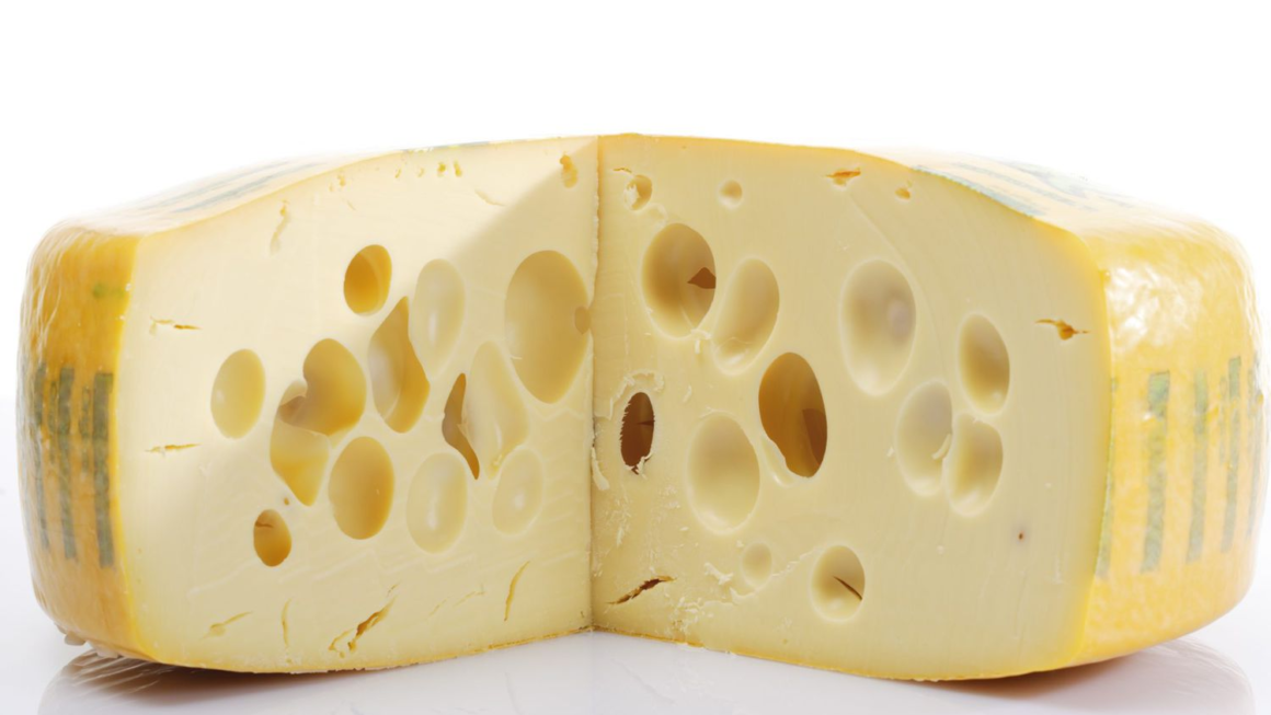 swiss cheese
