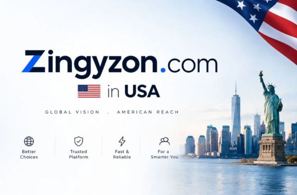zingyzon. com: A Practical Guide to Understanding the Website and Its Online Presence